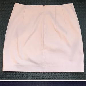 Express Mini Skirt